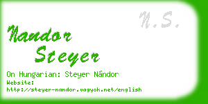 nandor steyer business card